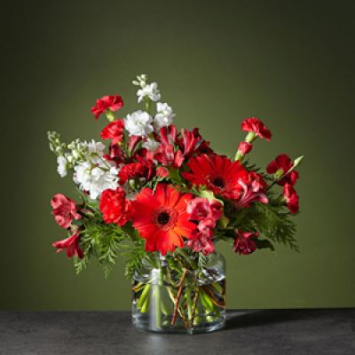 <div class="row">
<div class="truncated">

The Big Red Bow bouquet will add the perfect finishing touch to any room's holiday décor. Let the cherry red gerbera daises steal the show while the white stock adds balance and softens the vibrant arrangement.

</div>
</div>
<div id="accordion-container" class="product-detail-step-one product-page">
<div id="accordion" class="panel-group">
<div class="panel panel-default">
<div class="panel-heading">
<h4 class="panel-title"></h4>
</div>
</div>
</div>
</div>